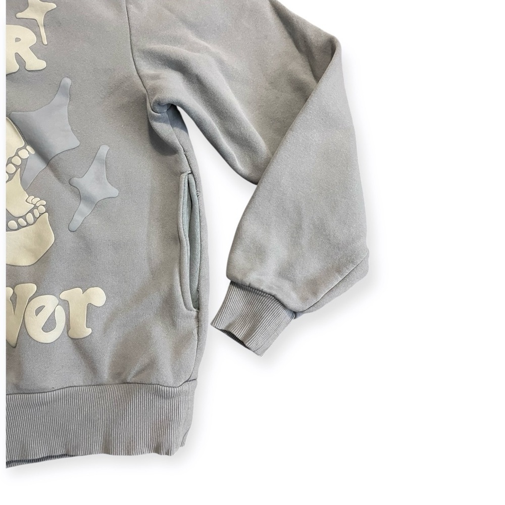 PAC Sun Forever Puff Hoodie In Steel Blue Men’s Small casual pullover sweatshirt - Picture 3 of 6